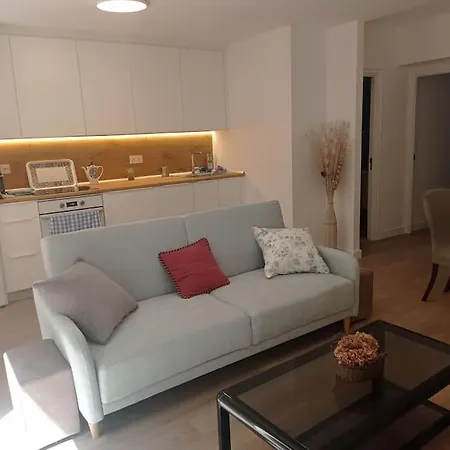 Piso Con Terraza Junto A La Playa 公寓 圣塞瓦斯蒂安