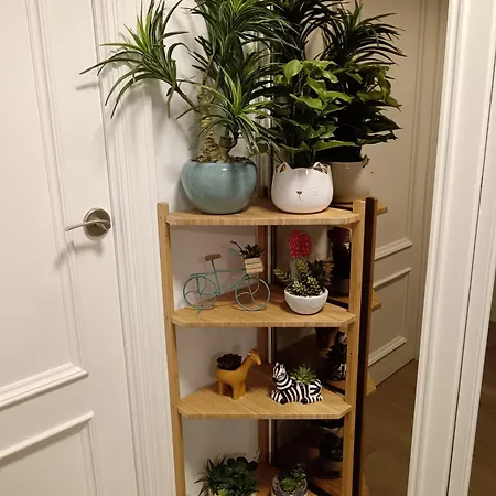 דירה Piso Con Terraza Junto A La Playa *